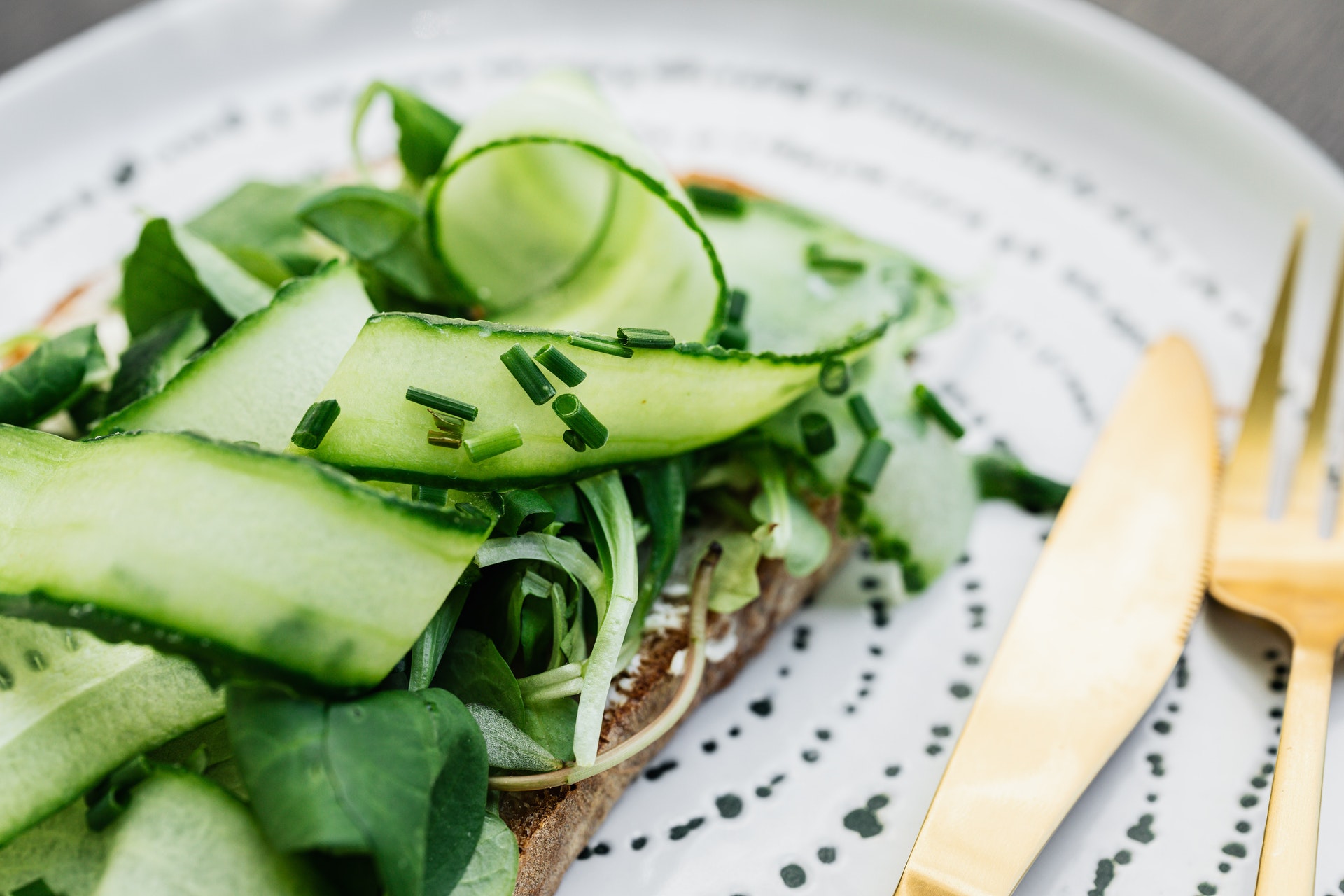 Vegan delicious tasted carpaccio from zucchini